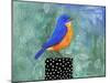 Bluebird Dotted Black Box-null-Mounted Art Print