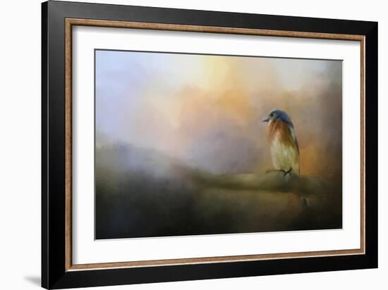 Bluebird in the Perfect Light-Jai Johnson-Framed Giclee Print