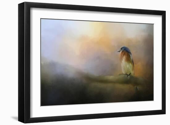 Bluebird in the Perfect Light-Jai Johnson-Framed Giclee Print