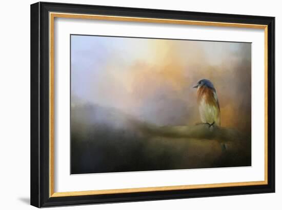 Bluebird in the Perfect Light-Jai Johnson-Framed Giclee Print