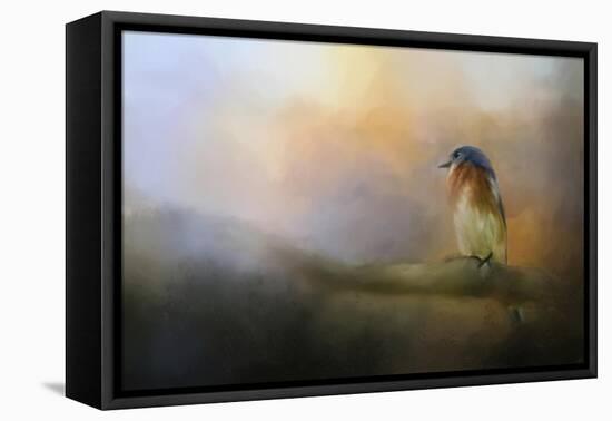 Bluebird in the Perfect Light-Jai Johnson-Framed Premier Image Canvas