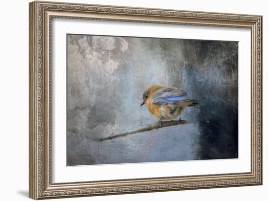 Bluebird in Winter-Jai Johnson-Framed Giclee Print