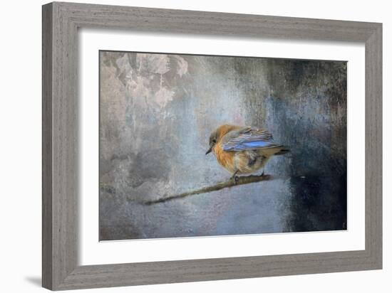 Bluebird in Winter-Jai Johnson-Framed Giclee Print