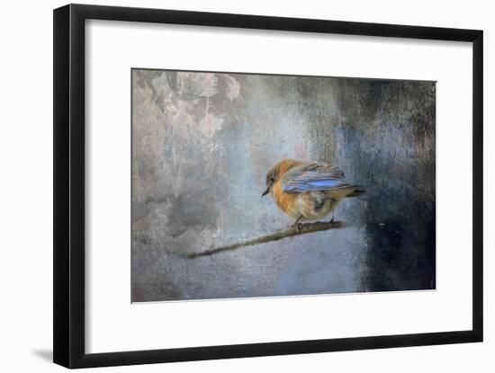 Bluebird in Winter-Jai Johnson-Framed Giclee Print