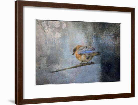 Bluebird in Winter-Jai Johnson-Framed Giclee Print