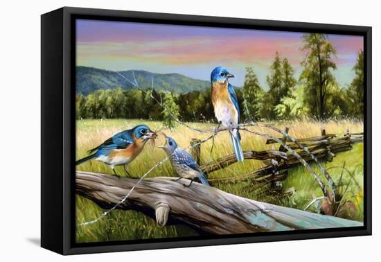 Bluebird Meadow-Spencer Williams-Framed Premier Image Canvas