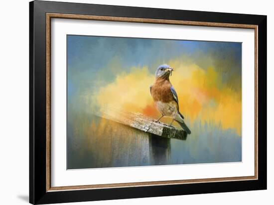 Bluebird Mealtime-Jai Johnson-Framed Giclee Print