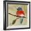 Bluebird No. 21-Angela Moulton-Framed Art Print