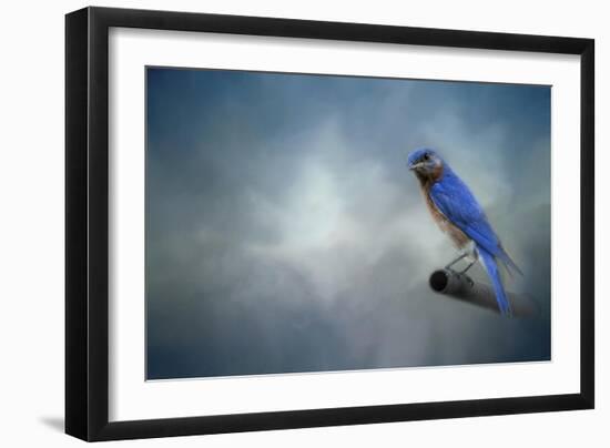 Bluebird on Patrol-Jai Johnson-Framed Giclee Print