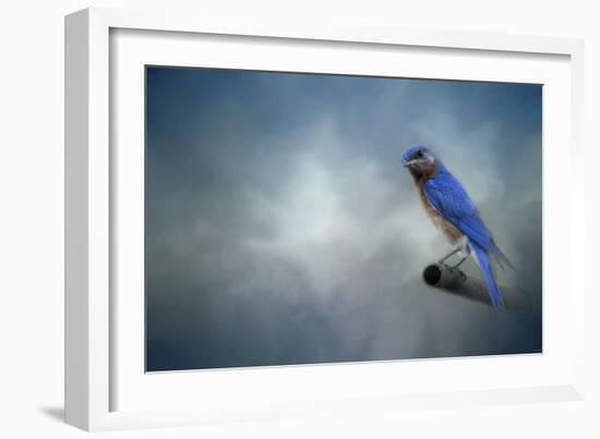 Bluebird on Patrol-Jai Johnson-Framed Giclee Print