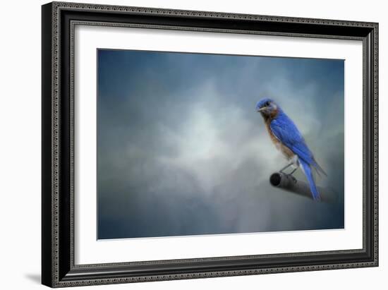 Bluebird on Patrol-Jai Johnson-Framed Giclee Print
