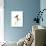 Bluebird on Seeds-Blenda Tyvoll-Giclee Print displayed on a wall