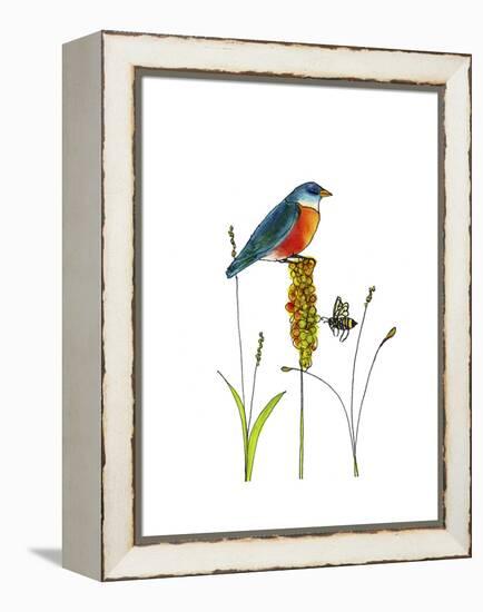 Bluebird on Seeds-Blenda Tyvoll-Framed Premier Image Canvas