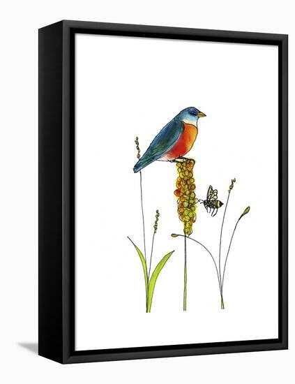 Bluebird on Seeds-Blenda Tyvoll-Framed Premier Image Canvas
