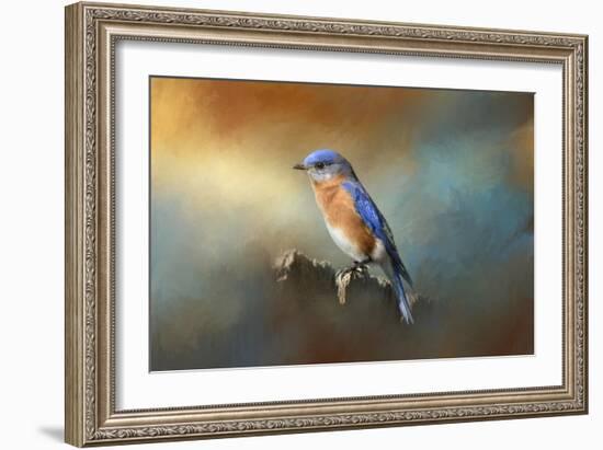 Bluebird on the Fence-Jai Johnson-Framed Giclee Print