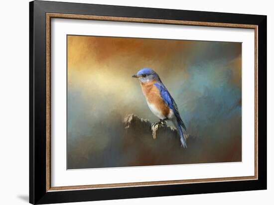 Bluebird on the Fence-Jai Johnson-Framed Giclee Print