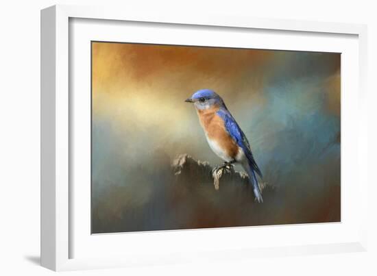 Bluebird on the Fence-Jai Johnson-Framed Giclee Print