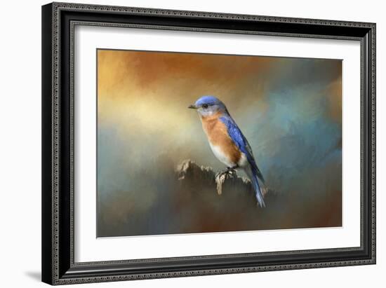 Bluebird on the Fence-Jai Johnson-Framed Giclee Print