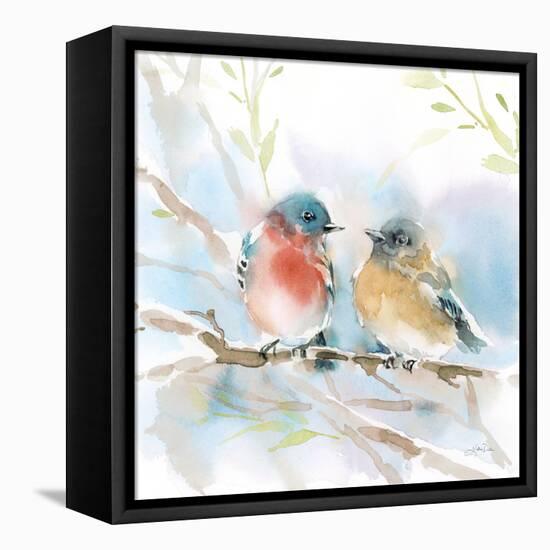 Bluebird Pair in Spring-Katrina Pete-Framed Stretched Canvas