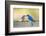 Bluebird Pair-Jason Savage-Framed Art Print