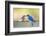 Bluebird Pair-Jason Savage-Framed Art Print