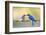 Bluebird Pair-Jason Savage-Framed Art Print