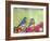 Bluebird Pair-null-Framed Art Print