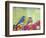 Bluebird Pair-null-Framed Art Print