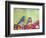 Bluebird Pair-null-Framed Art Print