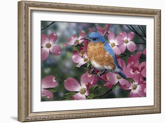 Bluebird/Pink Dogwood-William Vanderdasson-Framed Giclee Print