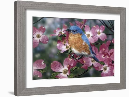 Bluebird/Pink Dogwood-William Vanderdasson-Framed Giclee Print