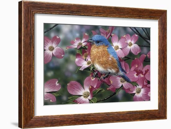 Bluebird/Pink Dogwood-William Vanderdasson-Framed Giclee Print