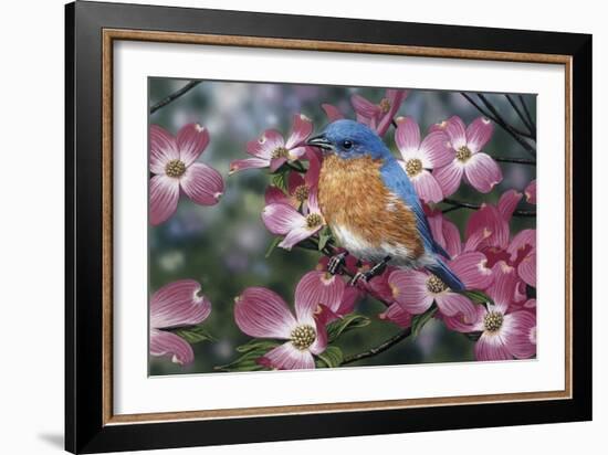 Bluebird/Pink Dogwood-William Vanderdasson-Framed Giclee Print