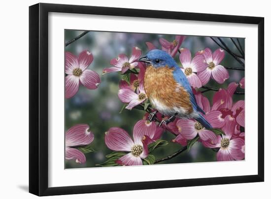 Bluebird/Pink Dogwood-William Vanderdasson-Framed Giclee Print