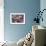Bluebird/Pink Dogwood-William Vanderdasson-Framed Giclee Print displayed on a wall