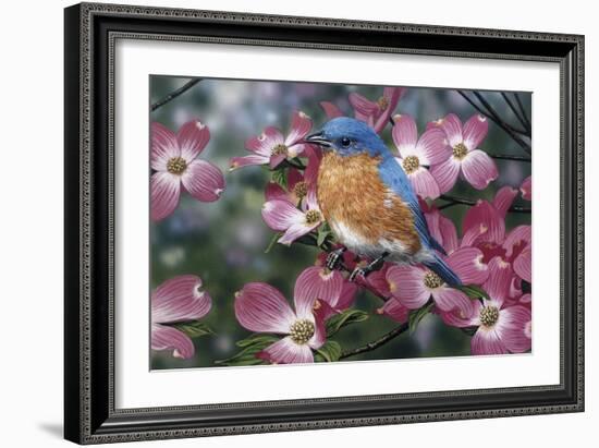 Bluebird/Pink Dogwood-William Vanderdasson-Framed Giclee Print