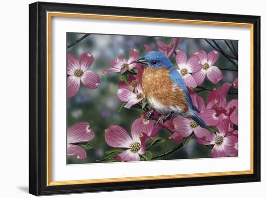 Bluebird/Pink Dogwood-William Vanderdasson-Framed Giclee Print