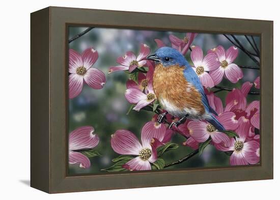 Bluebird/Pink Dogwood-William Vanderdasson-Framed Premier Image Canvas