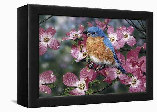 Bluebird/Pink Dogwood-William Vanderdasson-Framed Premier Image Canvas