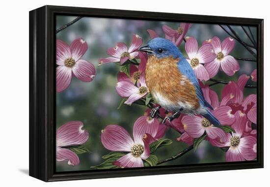 Bluebird/Pink Dogwood-William Vanderdasson-Framed Premier Image Canvas