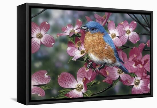 Bluebird/Pink Dogwood-William Vanderdasson-Framed Premier Image Canvas