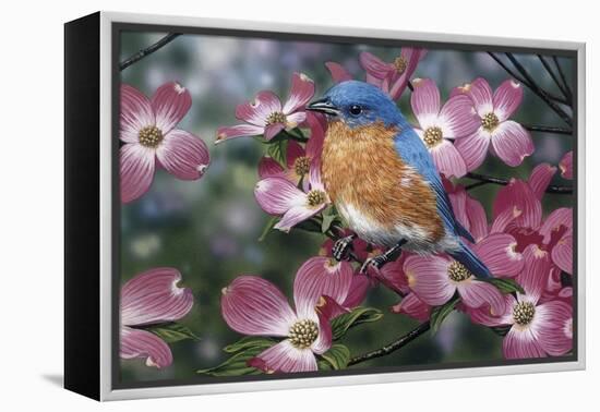 Bluebird/Pink Dogwood-William Vanderdasson-Framed Premier Image Canvas