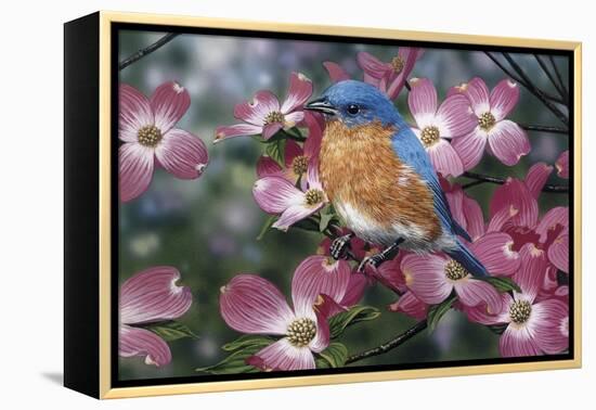 Bluebird/Pink Dogwood-William Vanderdasson-Framed Premier Image Canvas