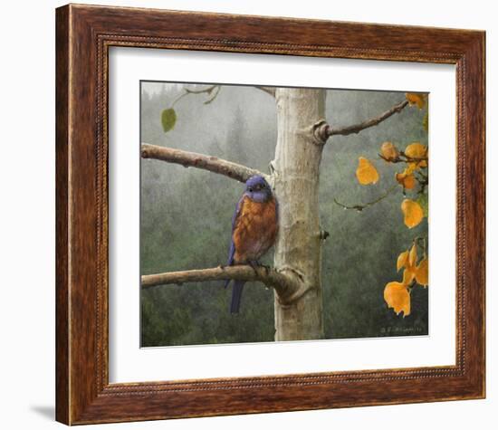 Bluebird Rain-Chris Vest-Framed Art Print