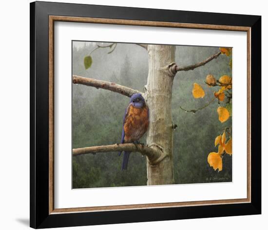 Bluebird Rain-Chris Vest-Framed Art Print