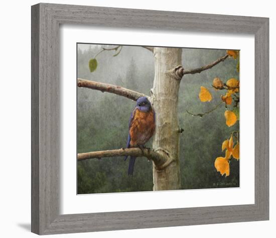 Bluebird Rain-Chris Vest-Framed Art Print