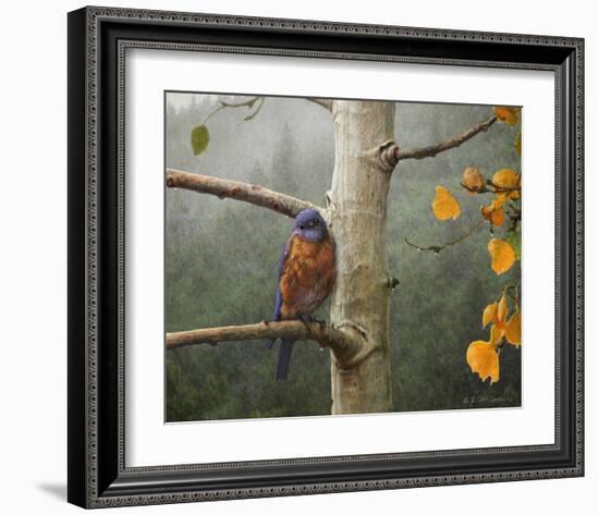 Bluebird Rain-Chris Vest-Framed Art Print