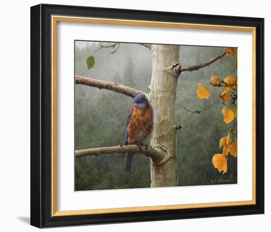 Bluebird Rain-Chris Vest-Framed Art Print