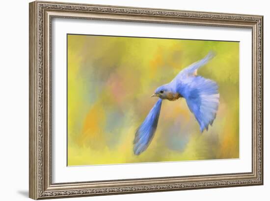 Bluebird Spring Flight-Jai Johnson-Framed Giclee Print