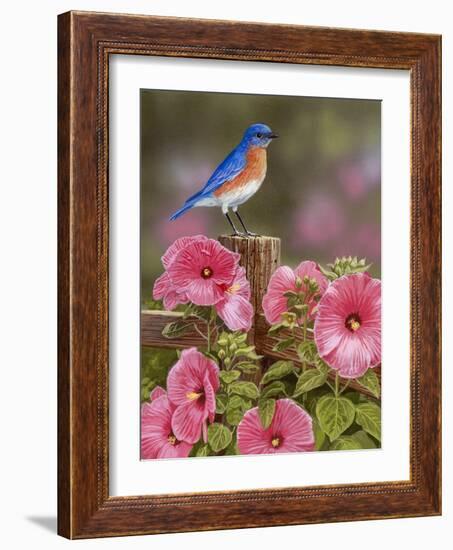 Bluebird with Hibiscus-William Vanderdasson-Framed Giclee Print